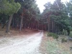 CAM01033.jpg