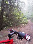20151108_110227.jpg