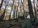 2015Castañar (29).JPG