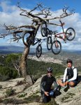 Arbol navidad Rohloff 2015 SMV.jpg