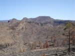 DSC01114.JPG