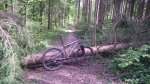 IMG_20160430_120633.jpg