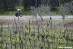 giro16st9-roglic-vine-1000.jpg