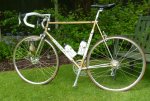 peter_Colnago-Gold-2-of-8.jpg