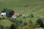 dauphine16st5-peloton-1000.jpg