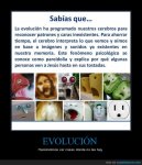 CR_856926_evolucion.jpg