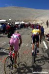 tdf00st12-pantani-armstrong-ventoux-1000.jpg