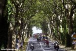 tdf16st6-peloton-forest-1000.jpg