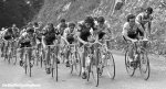 tdf81-hinault-920.jpg