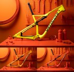 specialized-carry-the-torch-color-changing-bicycles-paint-Epic-FSR.jpg