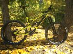 Yt capra red.jpg