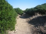 Arroyo seco hacia La Micona.jpg