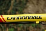 cannondale.JPG