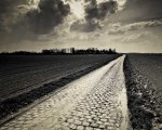 ultimate-roubaix-920.jpg