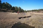 nacimiento cambron.jpg