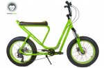 Monkey-Faction-Capuchin_20in-fat-stepthough-pit-bike-cruiser_driveside-green.jpg