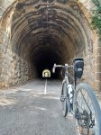 Sequoia tunels.jpg