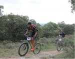 dani btt fixed.jpg