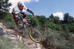 nicolas-vouilloz-downhill.jpg