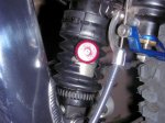 protector rear shock3.JPG