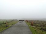IMG-20170906-WA0003.jpg