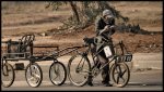 bikeafrica.jpg