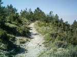 m_Imagen 534.jpg