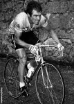 hinault-tour-920.jpg