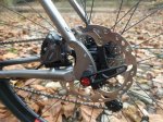 LiteSpeed_Gravel_Rear_Dropouts.jpg