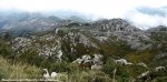 vuelta16st10sl-covadonga-road920.jpg