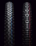 schwalbe-racing-ray-racing-ralph-2018 (1).jpg