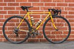 Davids-Merckx-1-of-11.jpg