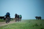 16-dirtykanza.jpeg