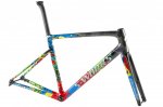 S-Works-Tarmac-SL6-Disc-frameset_Anna-van-der-Breggen.jpg