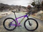 Santa Cruz Chameleon gravel custom build 1.jpg