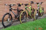 my_cannondales_038a-med_1_.jpg