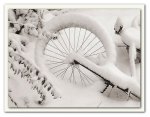 snowbike3.jpg