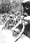 bike_snow_c50.jpg