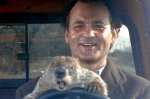 groundhog-day-751x500.jpg.jpeg