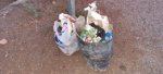 basura 2.jpg