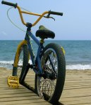 bmx playa -tamaÃ±o.JPG