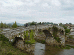 DSC05384 copy.gif