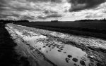 paris-roubaix-Grubers-best-of-24-of-55.jpg