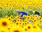 2018-tour-de-france-stage-18-14.jpg