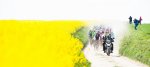 paris-roubaix-Grubers-best-of-3-of-55.jpg