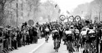 paris-roubaix-Grubers-best-of-12-of-55.jpg