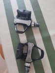 ped1.jpg