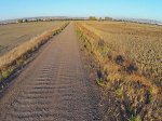 300px-Corrugated_Road_-_Fremont_California.jpg