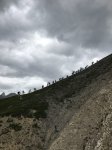 Eric-Bikes-to-watch-TDF-after-Road-was-closed-by-Police.--768x1024.jpeg