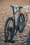 Titanium_gravel_bicycle_with_sliding_dropouts_wittson_effugio_18.jpg